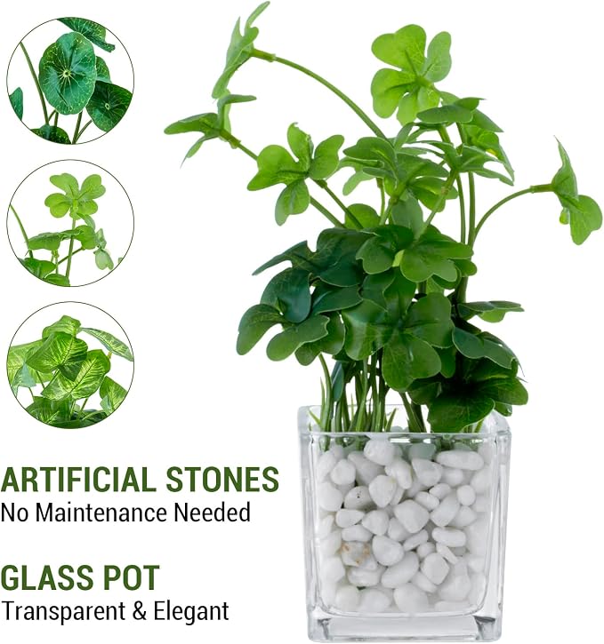 MyGift Artificial Clover and Taro Plants in Clear Glass Vase - Image 4