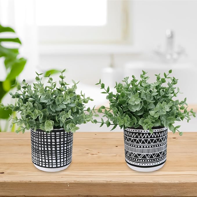 Winlyn Set of 2 Small Potted Plants Artificial Eucalyptus Plant in Black - Image 9