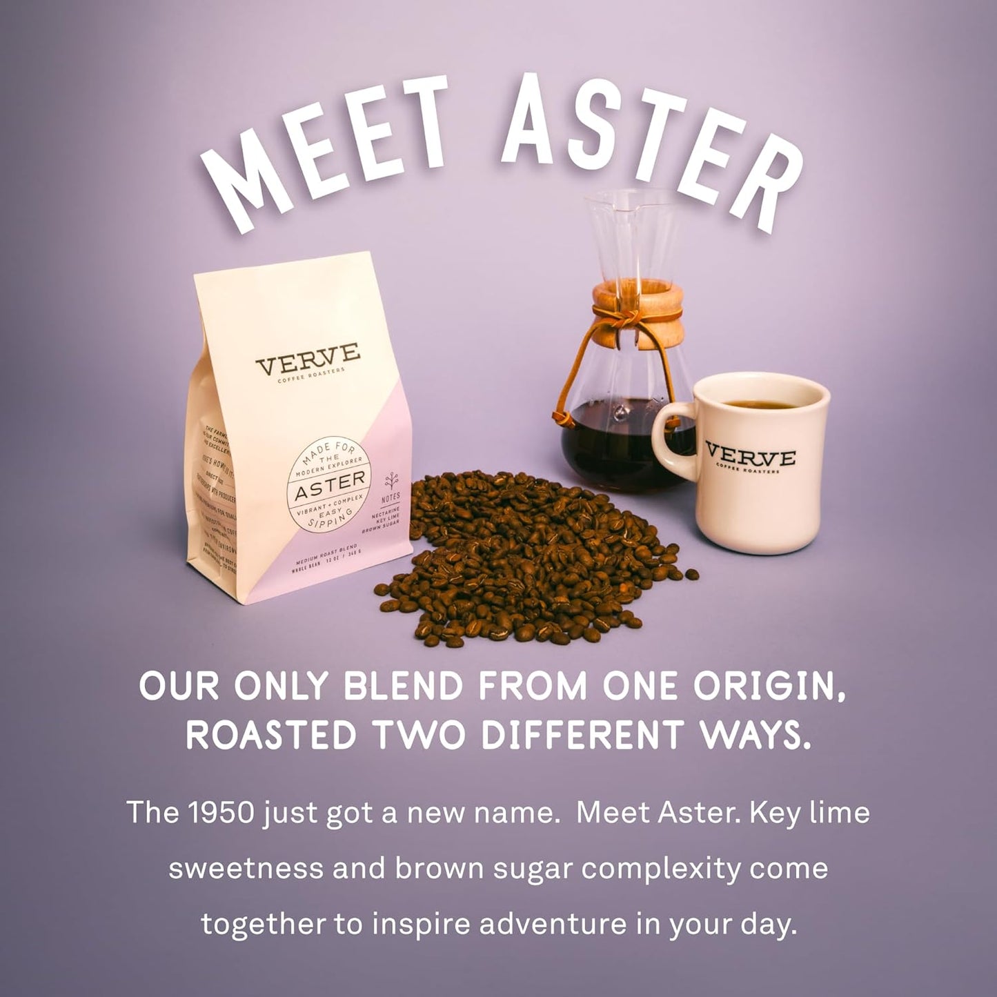 Verve Whole Bean Coffee | Aster Blend | Medium Roast Coffee Beans, Brewed or Espresso | Ethiopian Blend, Resealable Pouch | Hot or Cold Brew | Nectarine, Key Lime & Brown Sugar Notes | 12oz Bag
