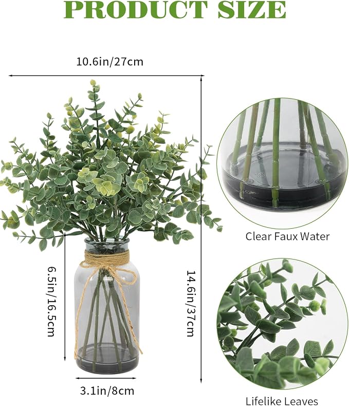 Coferset Eucalyptus Stems in Glass Vase - Image 6