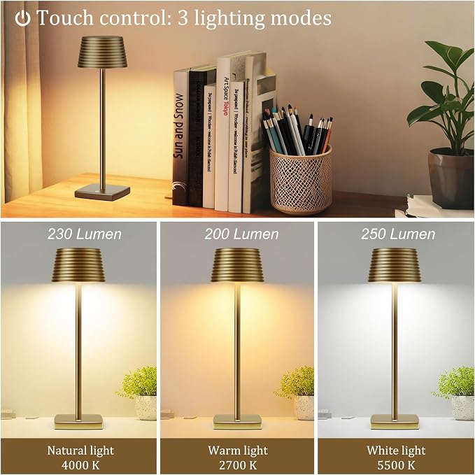 Cordless Rechargeable LED Table Lamps, 3 Color Touch Stepless Dimmable - Image 2