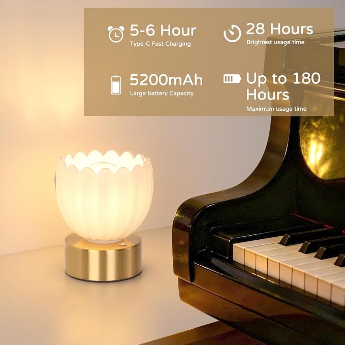 Shenmoyl Cordless Small Table Lamp - Image 6