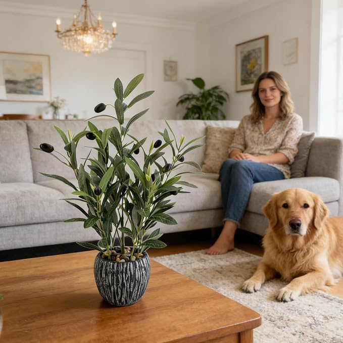 Olive Branches Artificial Plants Décor Indoor 17.72'' Tall Fake Olive Branch - Image 5