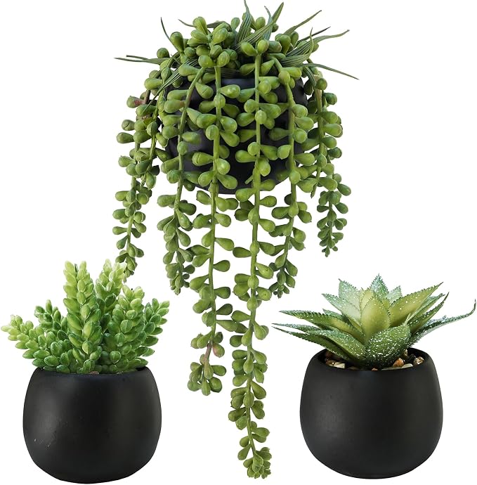 Winlyn Set of 3 Artificial Succulents Plants in Black Cement Planters Faux by Winlyn