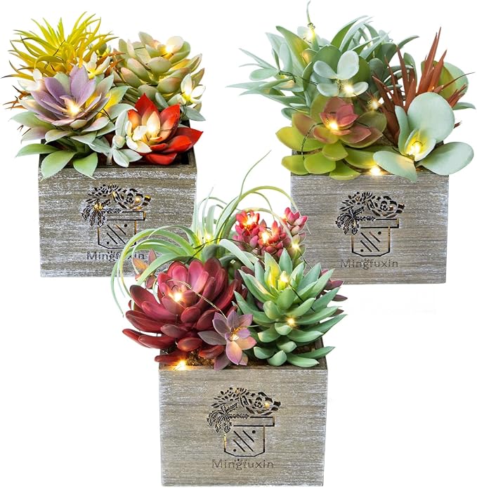 Succulents Plants Artificial by Mingfuxin