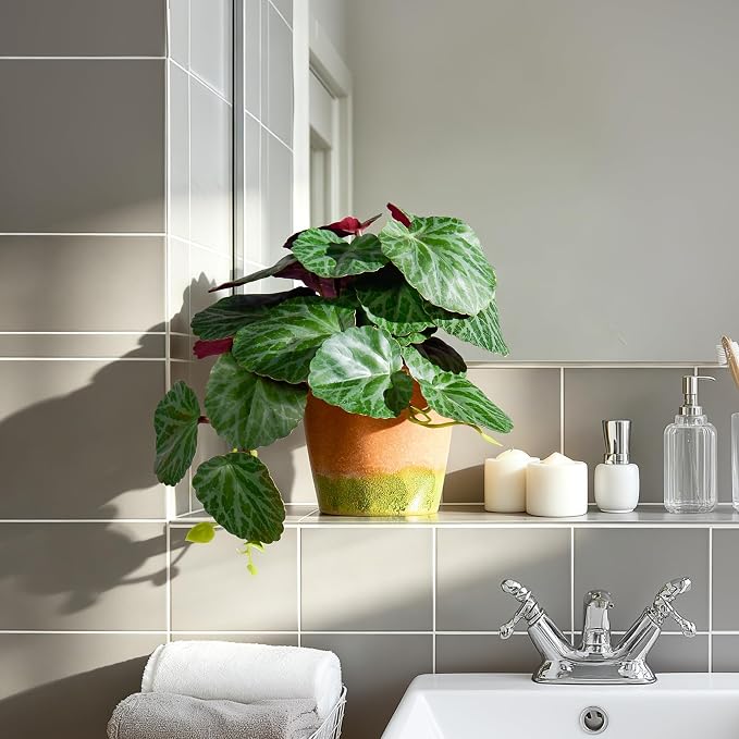 2Pack Fake Pothos Artificial Pothos Plants in Pot Realistic Small Plants - Image 4