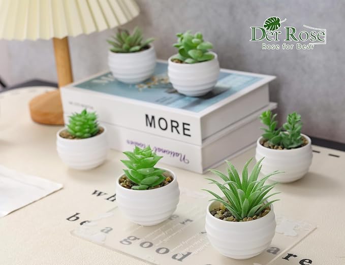 Der Rose Set of 6 Succulents Plants Artificial in Pots Small Fake Plants - Image 6