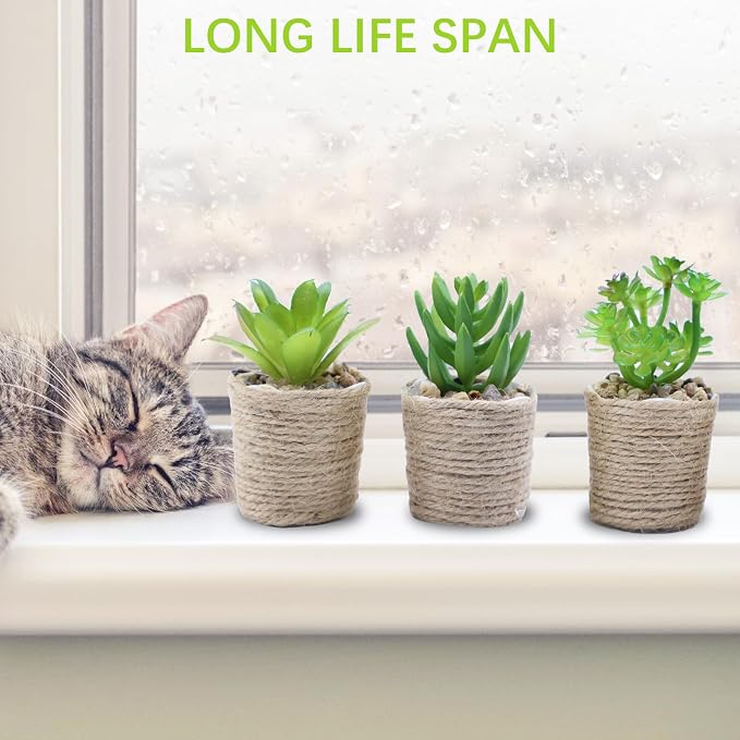 3 Pack Mini Artificial Succulent Plants – Faux Greenery in Vintage Woven Jute - Image 4