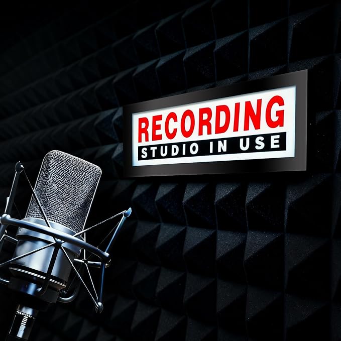 RECORDING STUDIO IN USE Light Box Recording Red LED Neon Lights Wall Mountable by Unknown