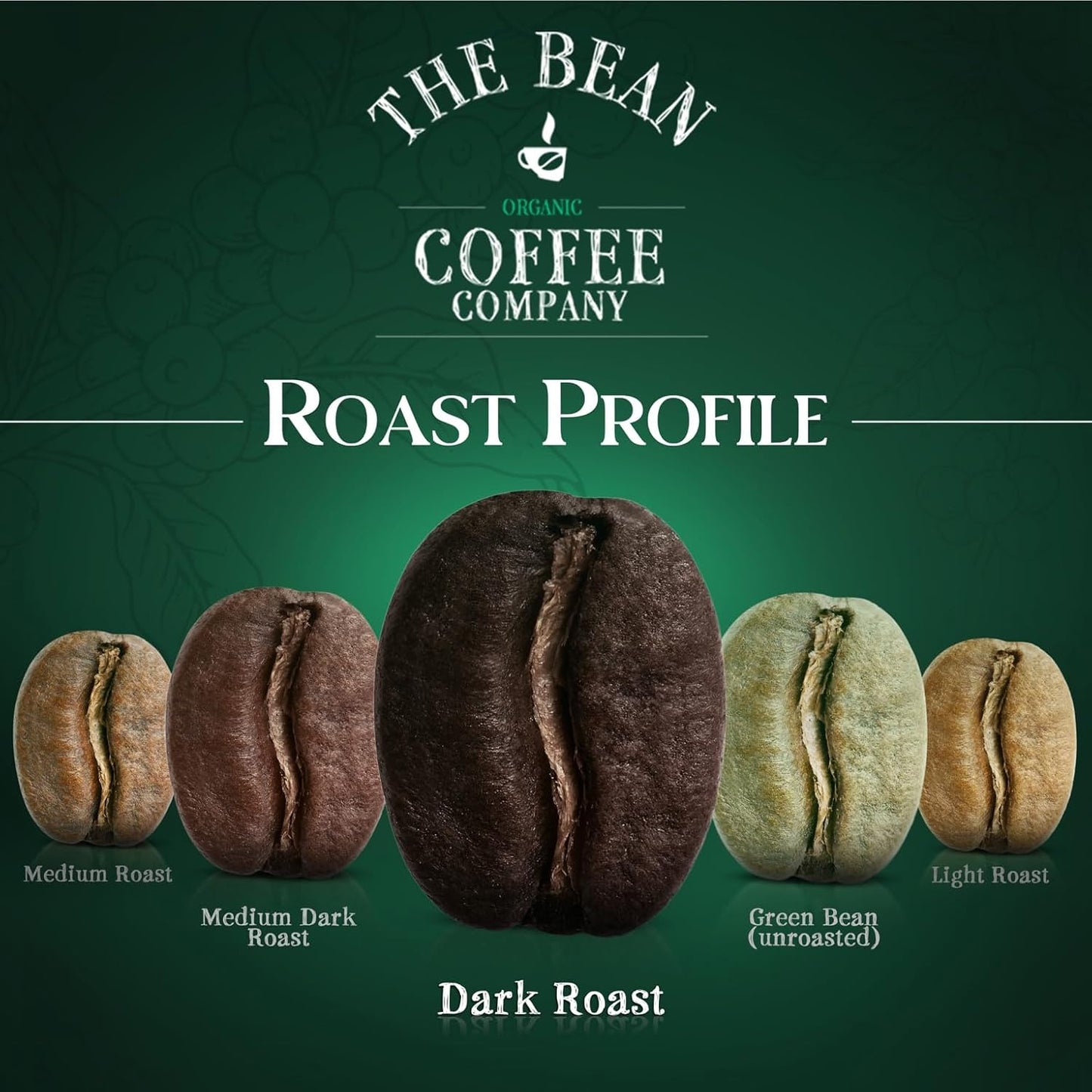 The Bean Organic Coffee Company Suzi's Power Bean, Dark Roast, Whole Bean Coffee, 16-Ounce Bag