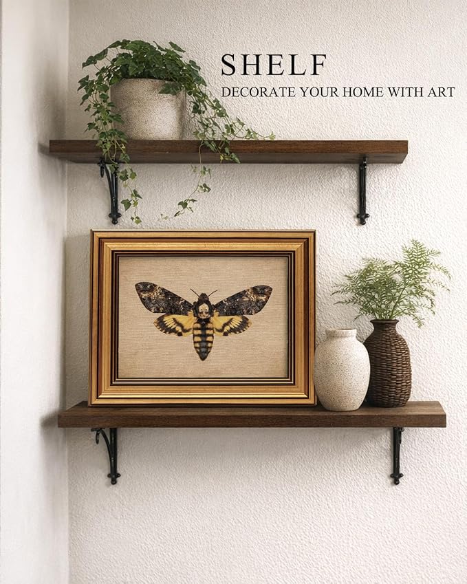 Vintage Gold Framed Wall Art, 8x10 Inch Gothic Skull Moth Canvas Print - Image 3