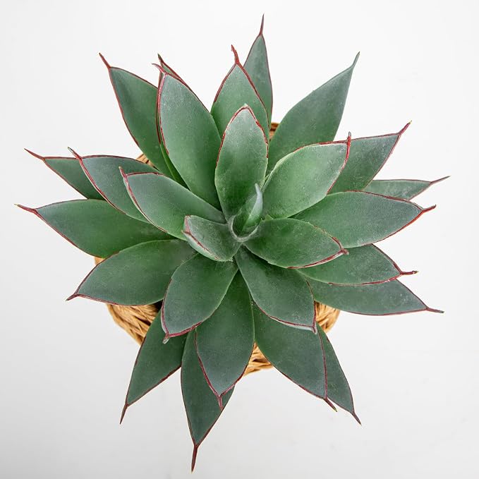 Briful Succulents Plants Artificial - Image 3