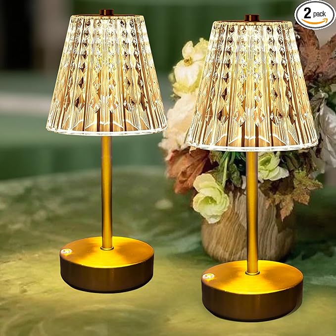 Set of 2 Rechargeable Table Lamps-Small Size Battery Powered Lamps-Cordless by Unknown