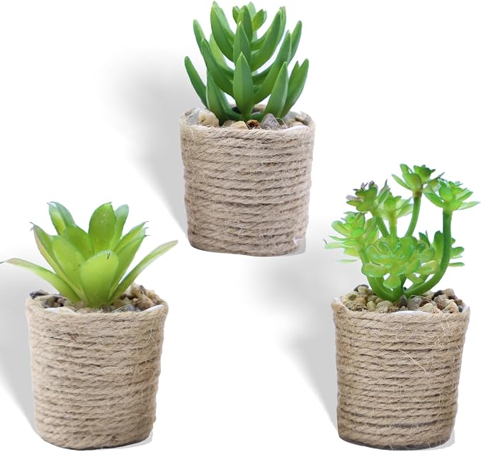 3 Pack Mini Artificial Succulent Plants – Faux Greenery in Vintage Woven Jute by Unknown