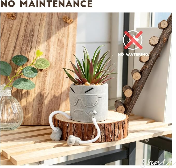 Zerzsy Artificial Succulents Plants in Cement Pots - Image 7