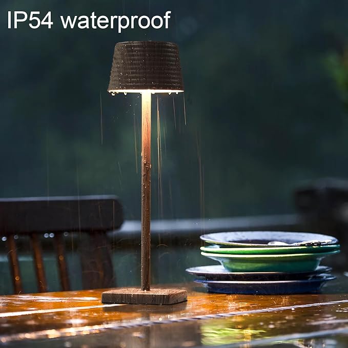 Cordless Rechargeable LED Table Lamps, 3 Color Touch Stepless Dimmable - Image 4