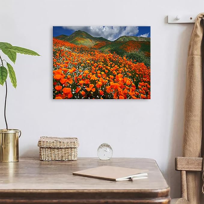 Orange Poppy Canvas Wall Art Nature Forest Mountain Landscape Pictures Wall - Image 6
