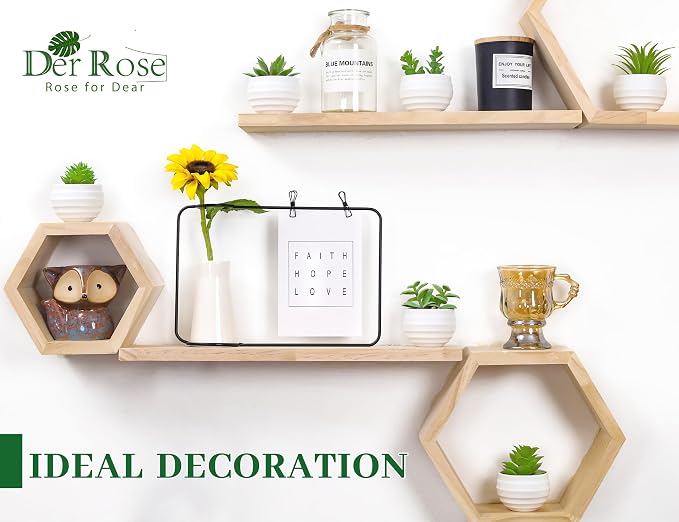 Der Rose Set of 6 Succulents Plants Artificial in Pots Small Fake Plants - Image 3