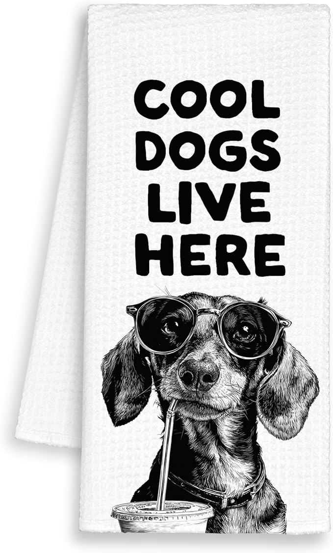 Funny Dog Dachshund Kitchen Towels, Cool Dogs Live Here Dish Towel Gifts by Unknown