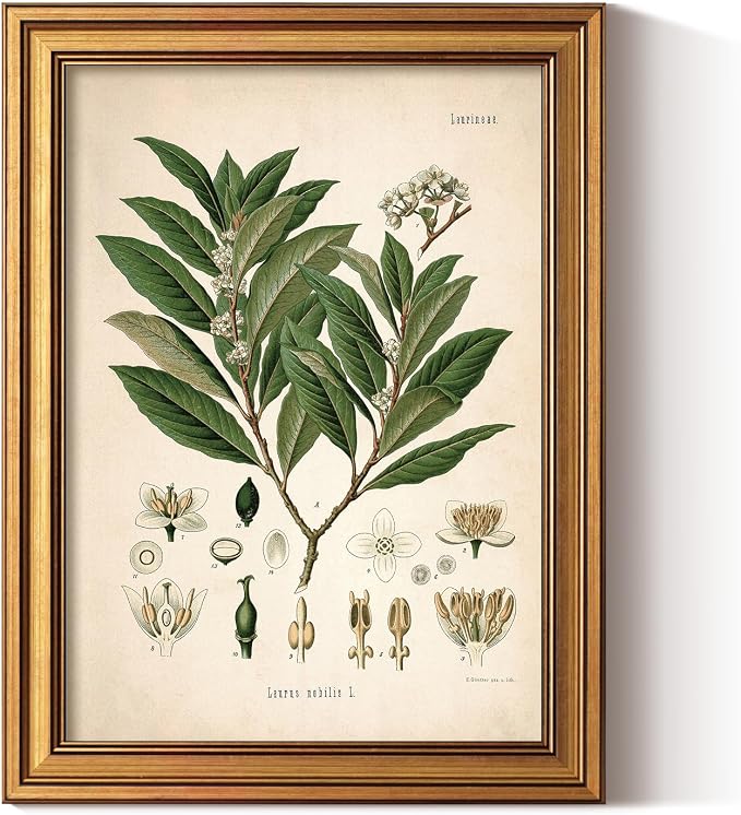 ARPEOTCY Gold Framed Canvas Wall Art, Bay Leaf Wall Decor, Farmhouse Painting by ARPEOTCY