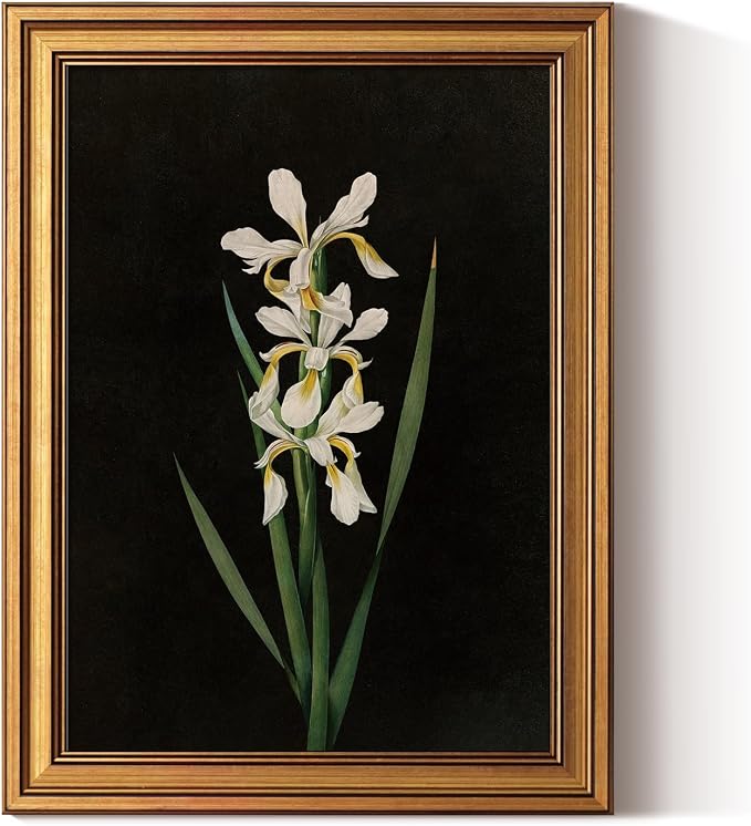 ARPEOTCY Vintage Botanical Wall Art Framed, Antique Iris Floral Illustration by ARPEOTCY