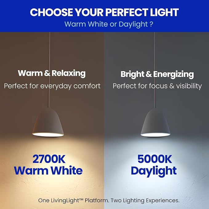 EcoBright ST19 ST64 LED Edison Bulbs Dimmable Filament Lights 60W Equivalent 9W - Image 11