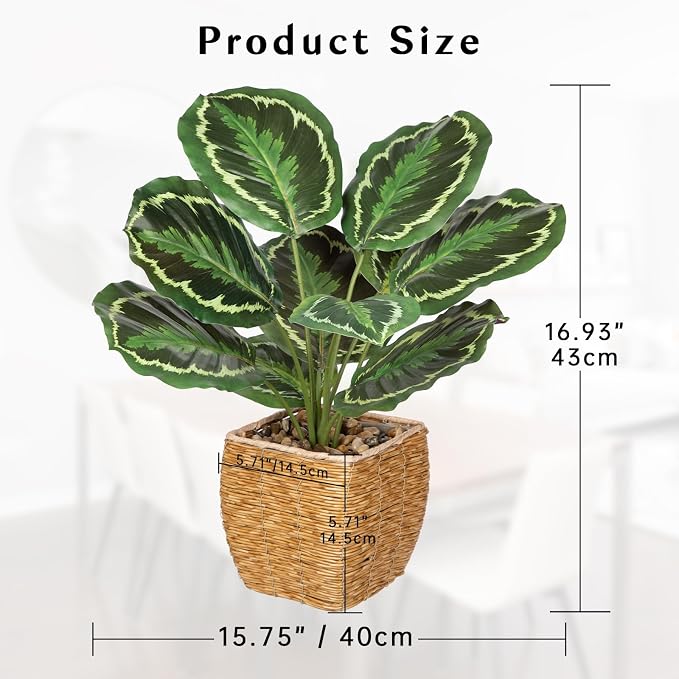 Briful Fake Plants Potted Calathea Medallion Artificial Plants Indoor Realistic - Image 2