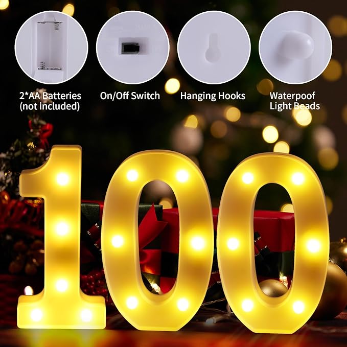 100th Birthday Decorations for Women Men, 100 Birthday Decorations for - Image 3