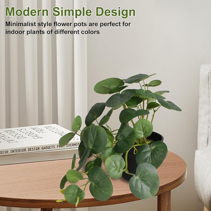 Yoratee Artificial Plants Set of 4 Fake Comosum Potted Plant - Image 3