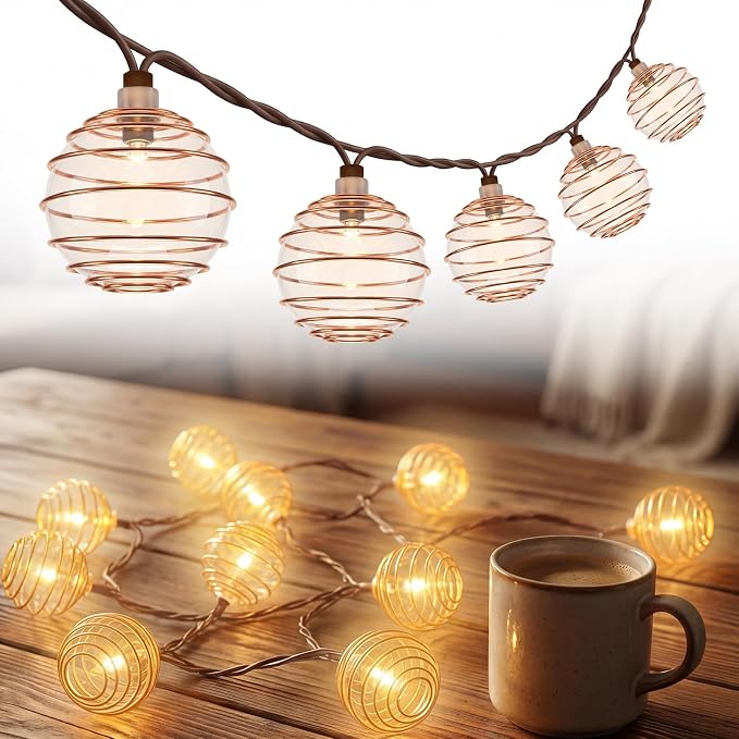 SUNSGNE Brown String Lights, Decorative Globe String Lights Plug in by SUNSGNE
