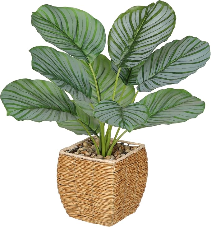 Briful Fake Plants Potted Calathea orbifolia Artificial Plants Indoor Realistic by Briful