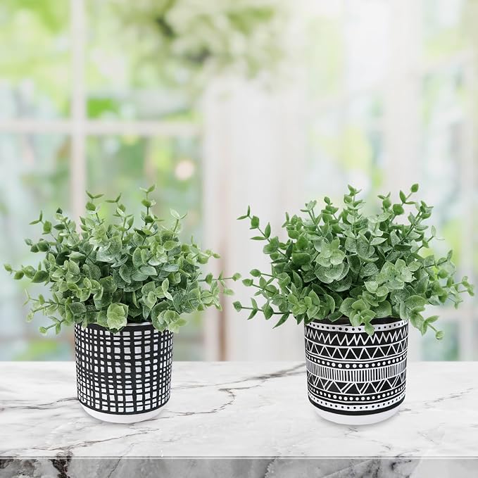 Winlyn Set of 2 Small Potted Plants Artificial Eucalyptus Plant in Black - Image 8