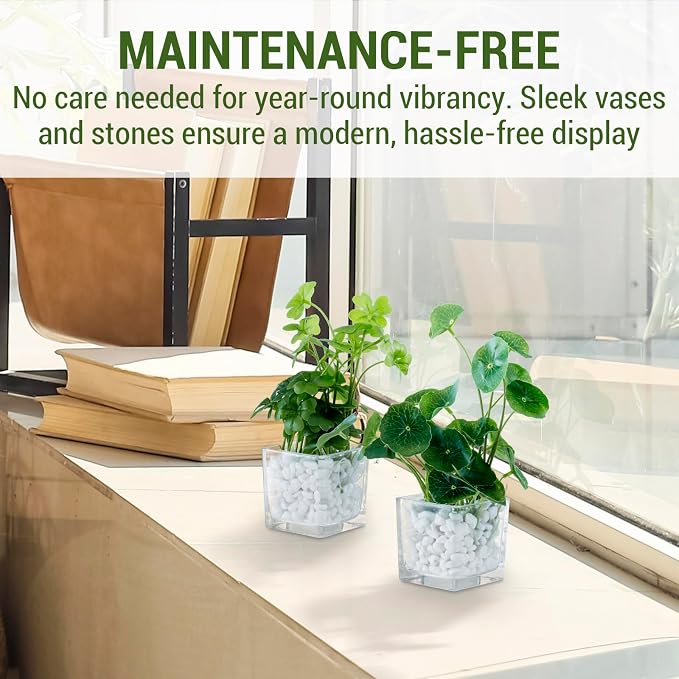 MyGift Artificial Clover and Taro Plants in Clear Glass Vase - Image 3
