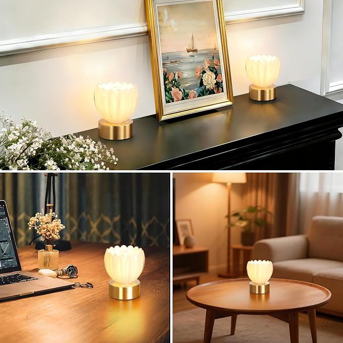 Shenmoyl Cordless Small Table Lamp - Image 5