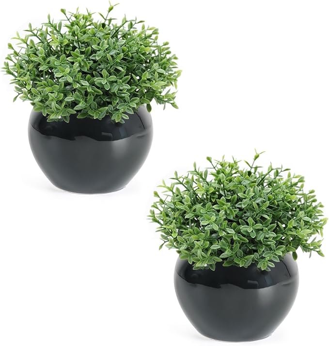 Velener Fake Sage Plants for Shelf Decor, Small Artificial Succulents Grass by Velener