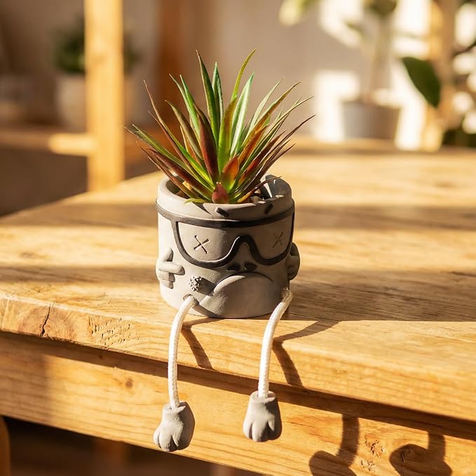 Creative Artificialplant Succulents in Cement Pots - Image 4