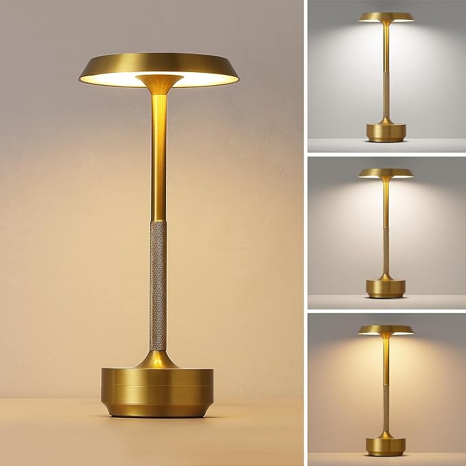 1 Pack Cordless Table Lamp, Portable LED Desk Lamps, 5000mAh Battery Operated by Unknown