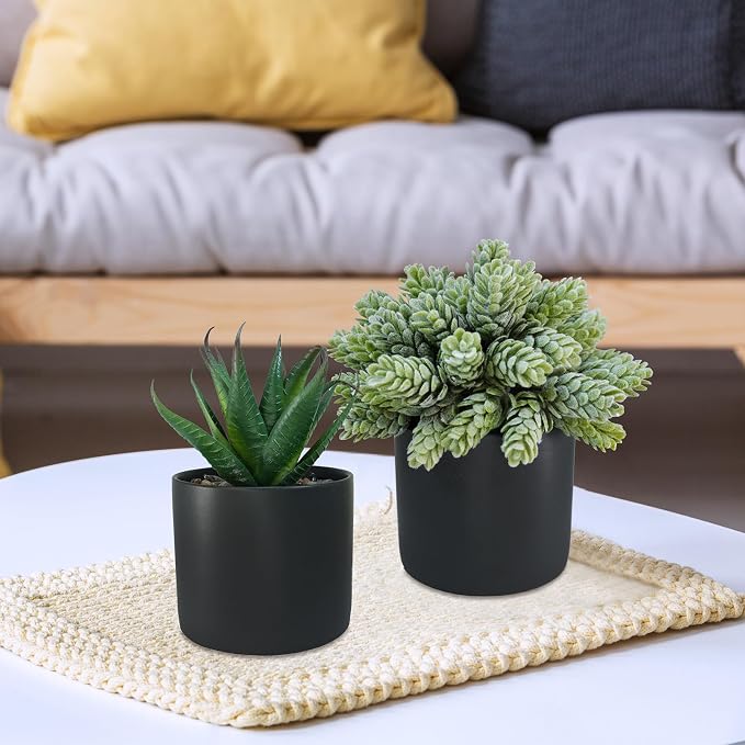 Winlyn Set of 3 Small Artificial Potted Succulent Plants Faux Aloe Hops String - Image 6
