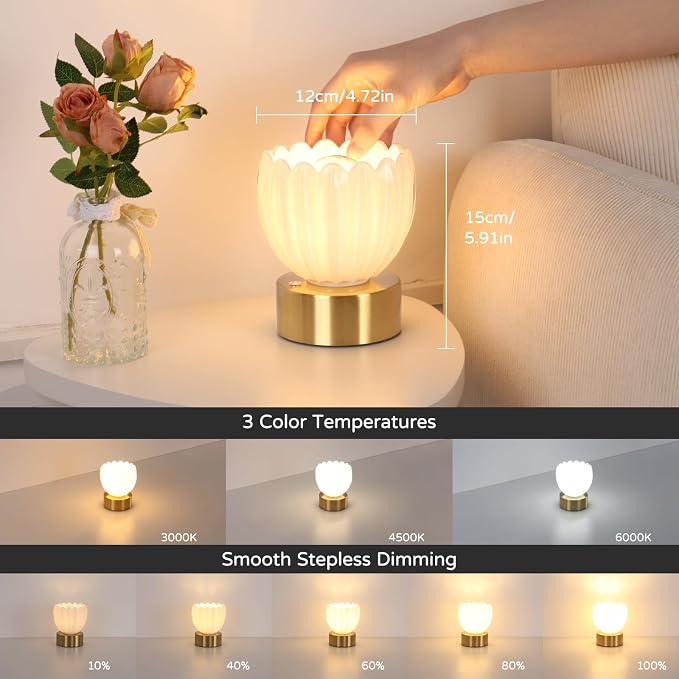 Shenmoyl Cordless Small Table Lamp - Image 3