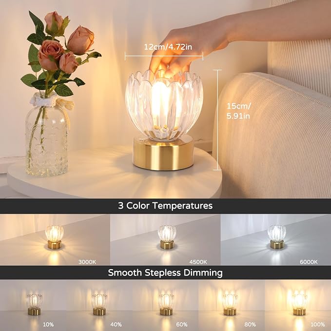Shenmoyl Cordless Small Table Lamp - Image 3