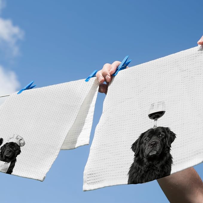 Funny Newfoundland Hand Towels, Newfoundland Gifts - Image 5