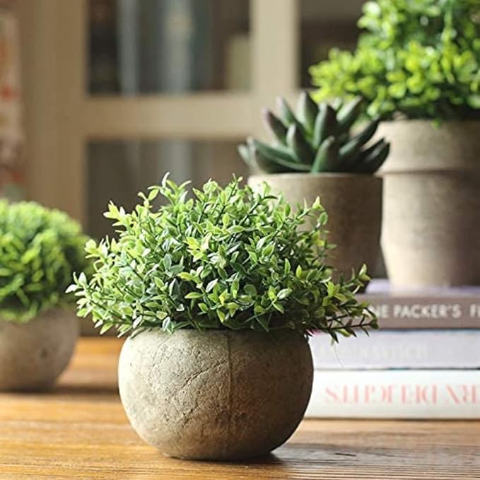 Velener Mini Sage Green Potted Boxwood Topiary Artificial Plants - Image 7