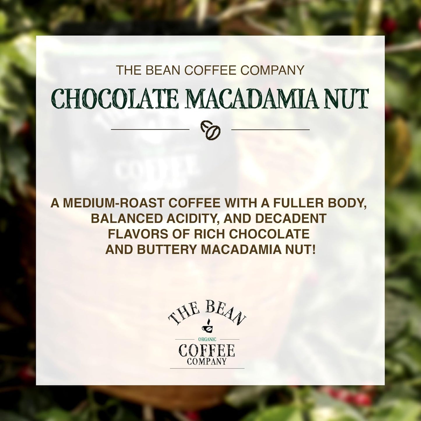 The Bean Organic Coffee Company Chocolate Macadamia Nut, Medium Roast, Ground Coffee, 16-Ounce Bags (Pack of 2), Café molido tostado orgánico