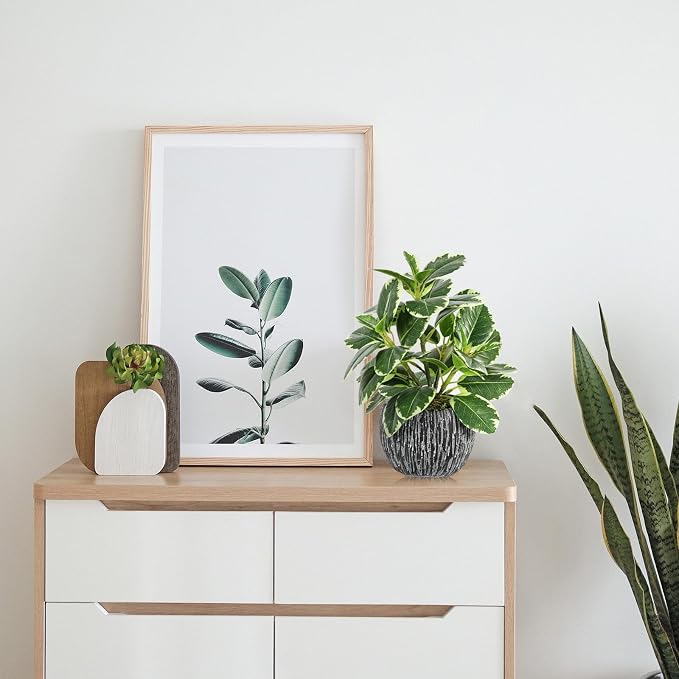 Artificial Plants Indoor Outdoor, Faux Variegated Oak Leaf Plant, Fake Potted - Image 3