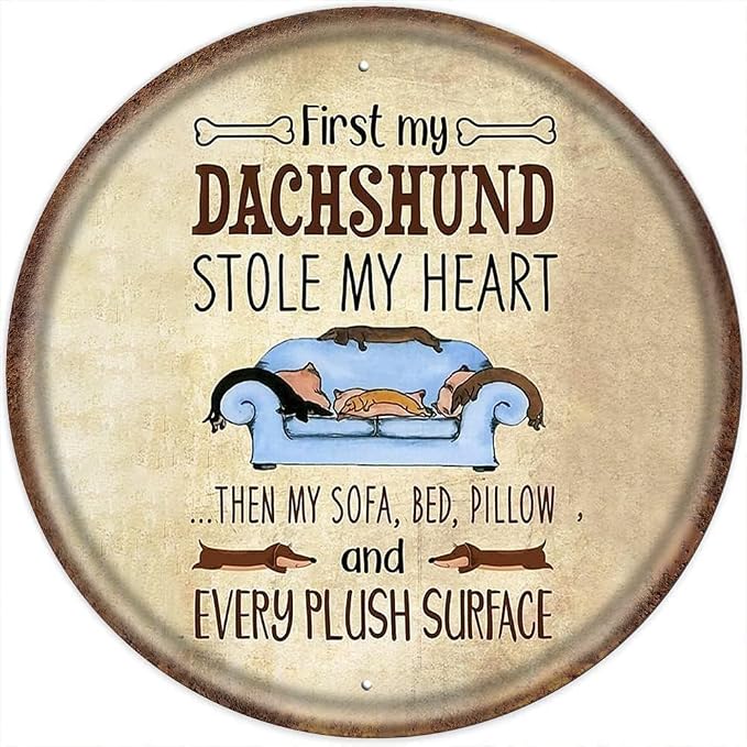 Dachshund Stole My Heart Then My Sofa Bed Pillow Round Metal Aluminum Tin Sign by Unknown