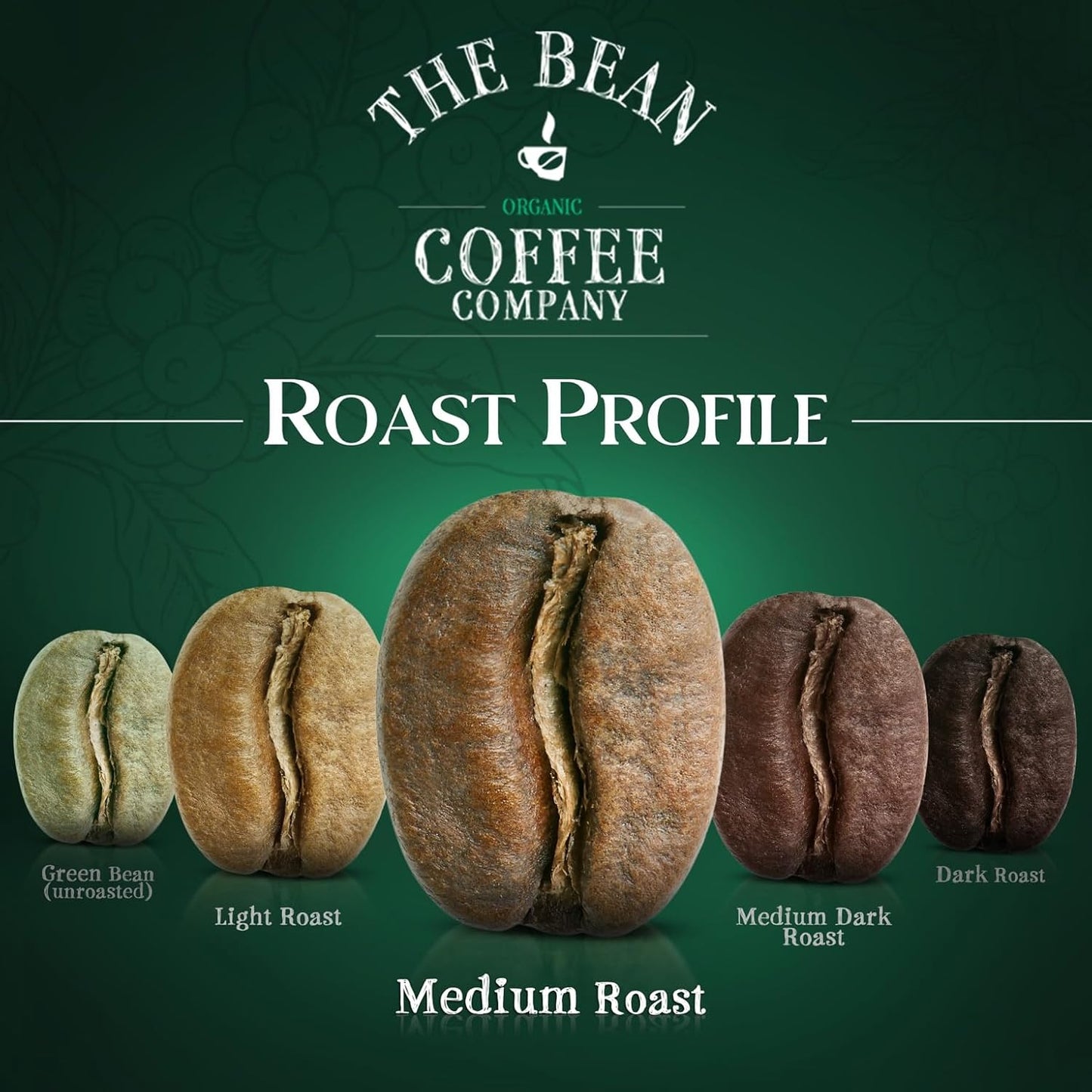 The Bean Organic Coffee Company Egg Nog, Medium Roast, Ground Coffee, 16-Ounce Bag, Café molido tostado orgánico