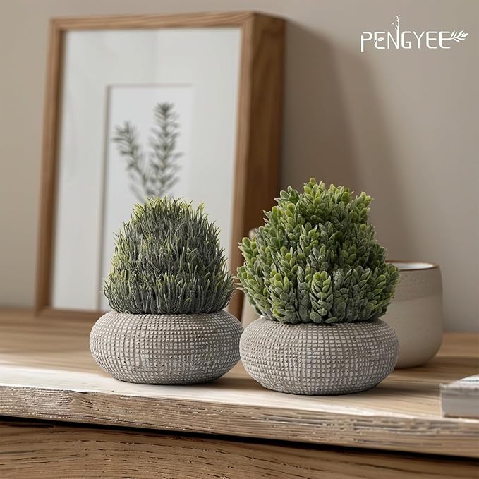2 Pack Small Fake Plants in Cement Planter - Image 8