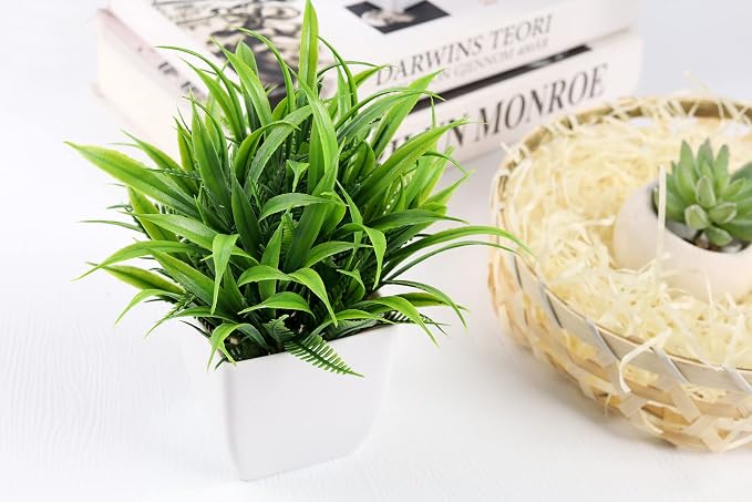 Der Rose 2 Pack Small Fake Plants Mini Artificial Potted Plants - Image 8