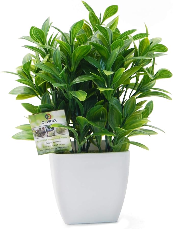 OFFIDIX Artificial Eucalyptus Plants by Offidix