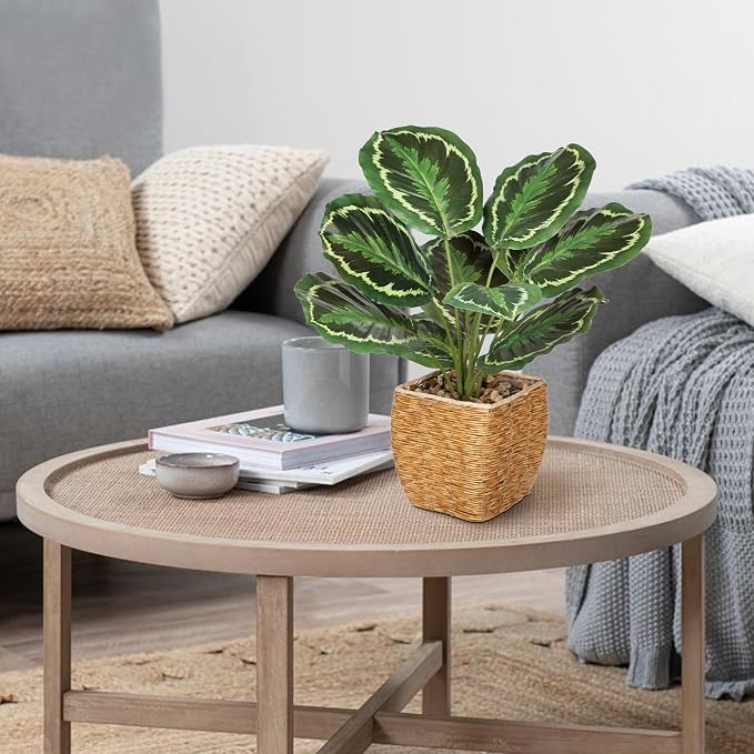 Briful Fake Plants Potted Calathea Medallion Artificial Plants Indoor Realistic - Image 4